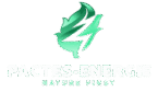 pacte energie logo removebg preview (1) (1)
