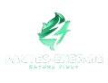 pacte energie logo removebg preview (1) (1)